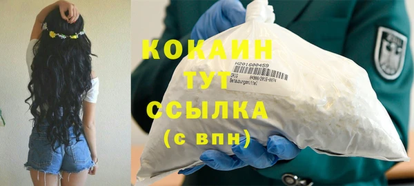 дмт Вяземский