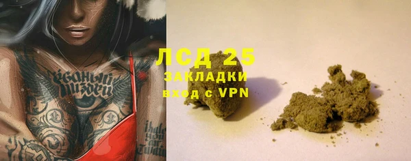 шишки Абинск