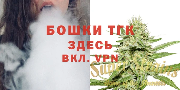 мет Алексин