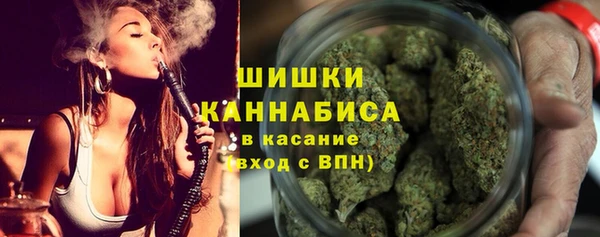 дмт Вяземский