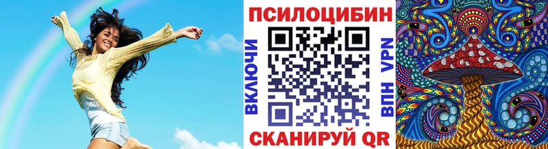 Галлюциногенные грибы Psilocybe  купить наркоту  Ессентукская 